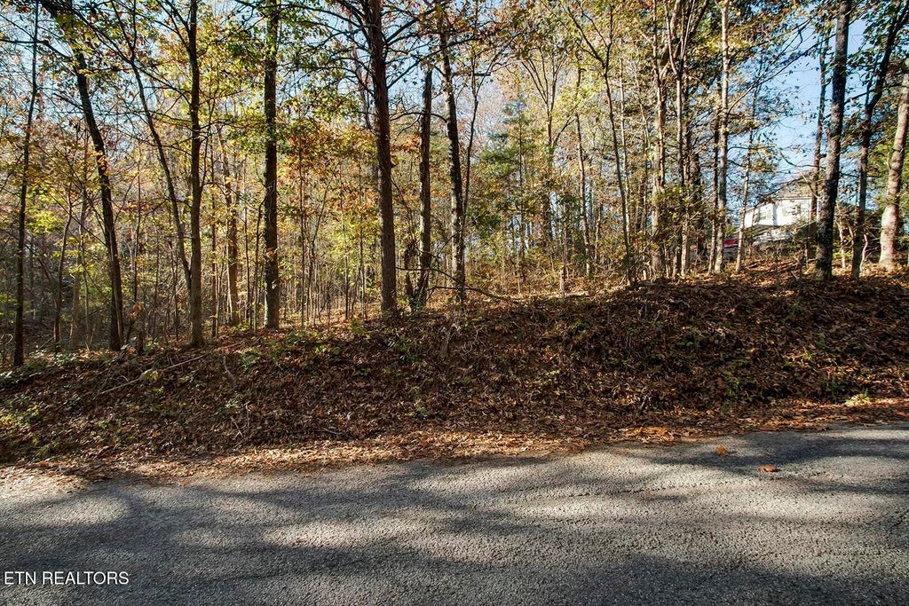 Photo of Lot 1-2 Morrison Rd, Decatur, TN 37322 (MLS # 1283418)