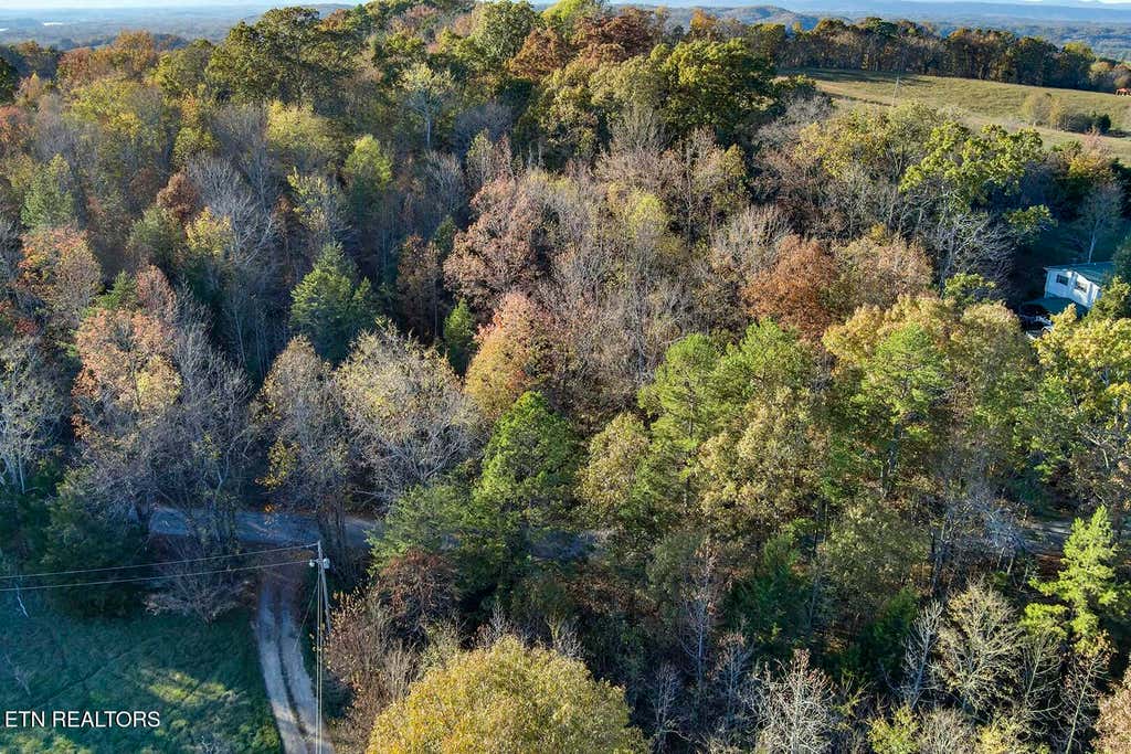 Photo of Lot 1-2 Morrison Rd, Decatur, TN 37322 (MLS # 1283418)