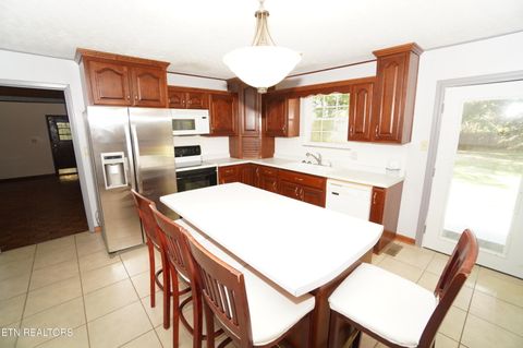 Tiny photo for 564 Whippoorwill Drive, Talbott, TN 37877 (MLS # 1319279)