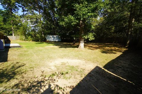 Tiny photo for 564 Whippoorwill Drive, Talbott, TN 37877 (MLS # 1319279)