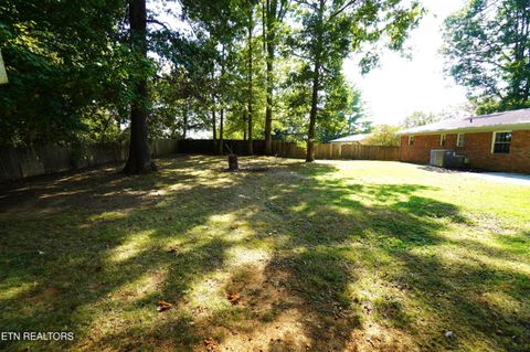 Tiny photo for 564 Whippoorwill Drive, Talbott, TN 37877 (MLS # 1319279)