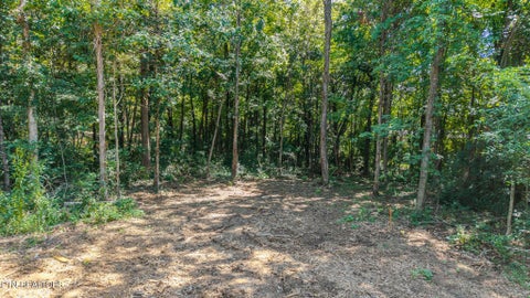Tiny photo for Kimborough Drive, Knoxville, TN 37922 (MLS # 1354408)