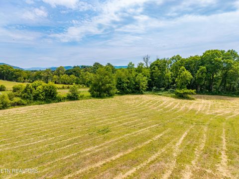 Tiny photo for 332 River Ford Rd, Maryville, TN 37804 (MLS # 1341409)