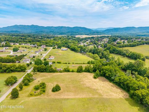 Tiny photo for 332 River Ford Rd, Maryville, TN 37804 (MLS # 1341409)