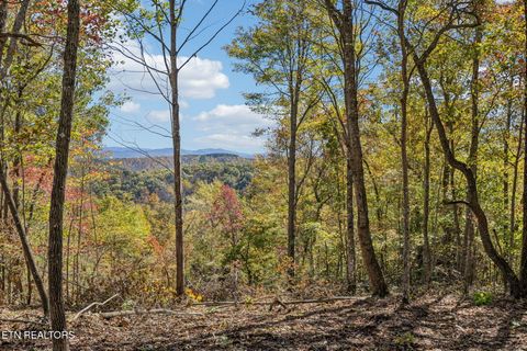 Photo of Sheep Ranch Rd, Robbins, TN 37852 (MLS # 1322885)