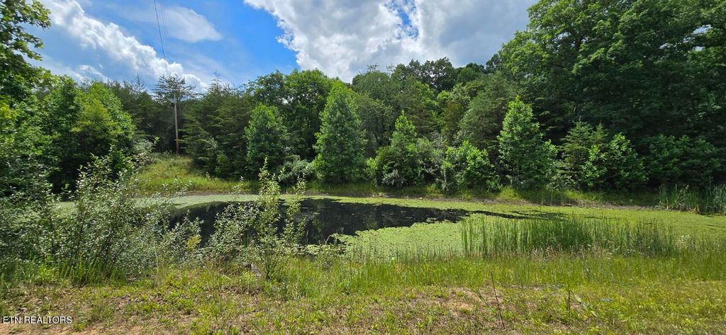 Photo of 350 Rector Lane, Helenwood, TN 37755 (MLS # 1345385)