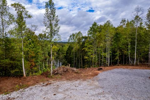 Tiny photo for 104 Pineview Lane, Vonore, TN 37885 (MLS # 1325687)