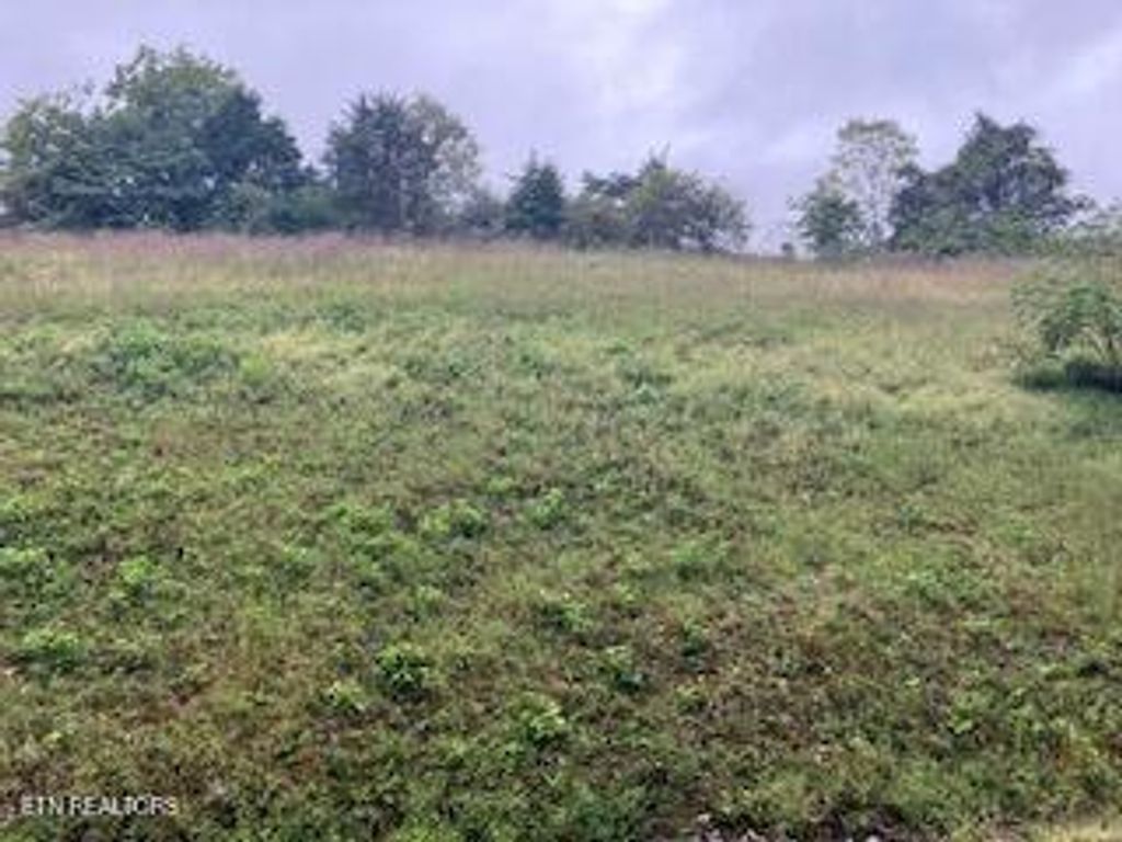 Photo of 553 Garnet Tr, New Tazewell, TN 37825 (MLS # 1316285)