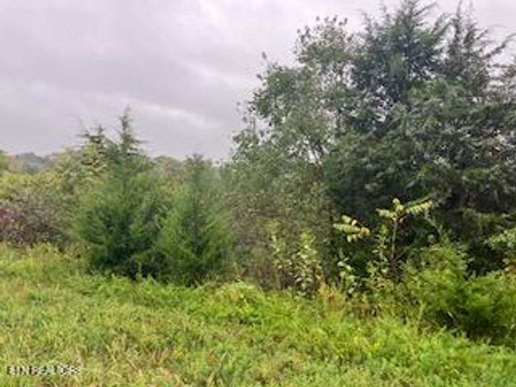 Photo of 553 Garnet Tr, New Tazewell, TN 37825 (MLS # 1316285)