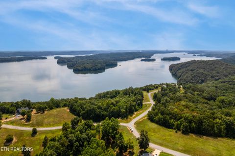 Tiny photo for 129 River Run Tr, Spring City, TN 37381 (MLS # 1315491)