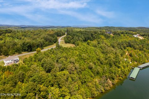 Tiny photo for 129 River Run Tr, Spring City, TN 37381 (MLS # 1315491)