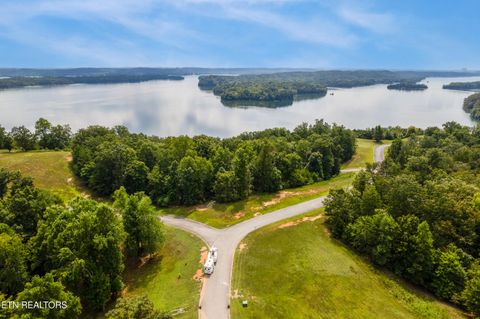 Tiny photo for 129 River Run Tr, Spring City, TN 37381 (MLS # 1315491)