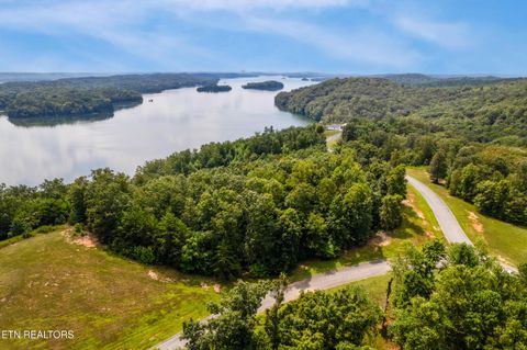 Tiny photo for 129 River Run Tr, Spring City, TN 37381 (MLS # 1315491)