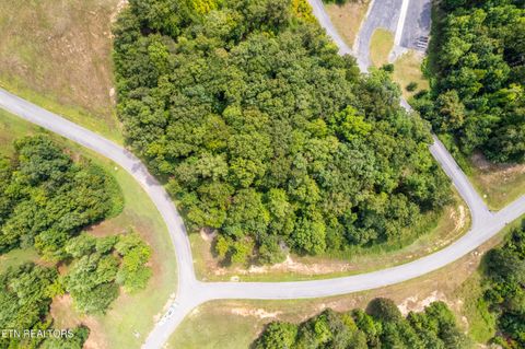 Tiny photo for 129 River Run Tr, Spring City, TN 37381 (MLS # 1315491)