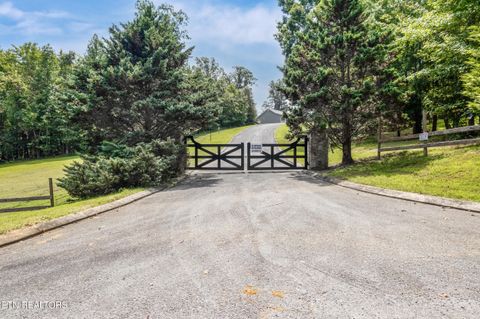 Tiny photo for 129 River Run Tr, Spring City, TN 37381 (MLS # 1315491)