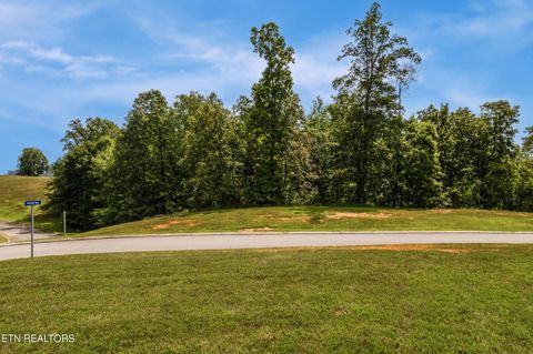 Tiny photo for 129 River Run Tr, Spring City, TN 37381 (MLS # 1315491)