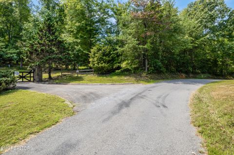 Tiny photo for 129 River Run Tr, Spring City, TN 37381 (MLS # 1315491)