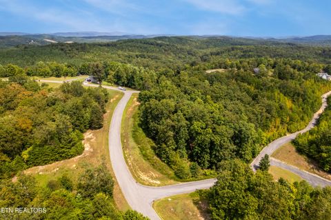 Tiny photo for 129 River Run Tr, Spring City, TN 37381 (MLS # 1315491)