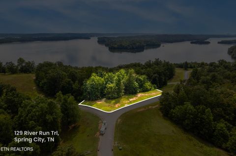 Tiny photo for 129 River Run Tr, Spring City, TN 37381 (MLS # 1315491)