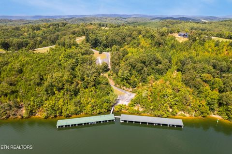 Tiny photo for 129 River Run Tr, Spring City, TN 37381 (MLS # 1315491)