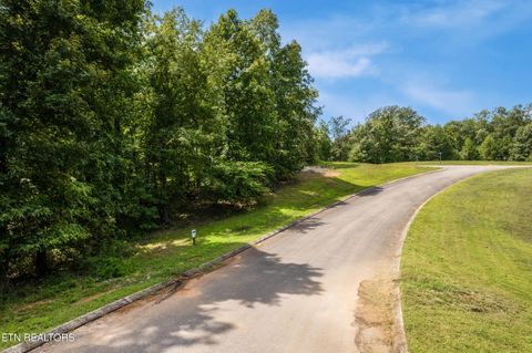 Tiny photo for 129 River Run Tr, Spring City, TN 37381 (MLS # 1315491)