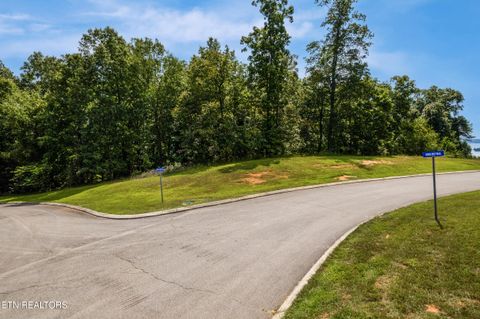 Tiny photo for 129 River Run Tr, Spring City, TN 37381 (MLS # 1315491)