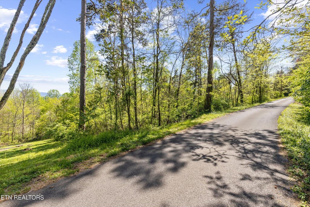 Photo of Lot 8 Monticello Dr, Seymour, TN 37865 (MLS # 1296660)