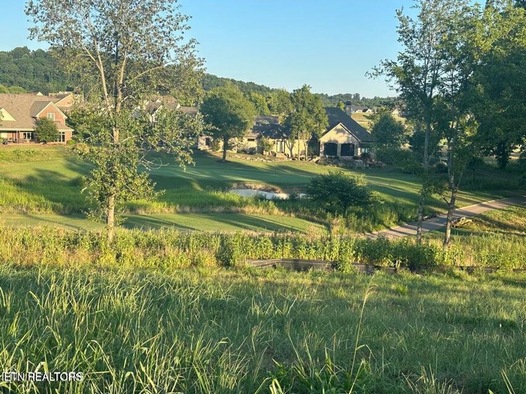 Photo of 987 Mockingbird Lane, Loudon, TN 37774 (MLS # 1314708)