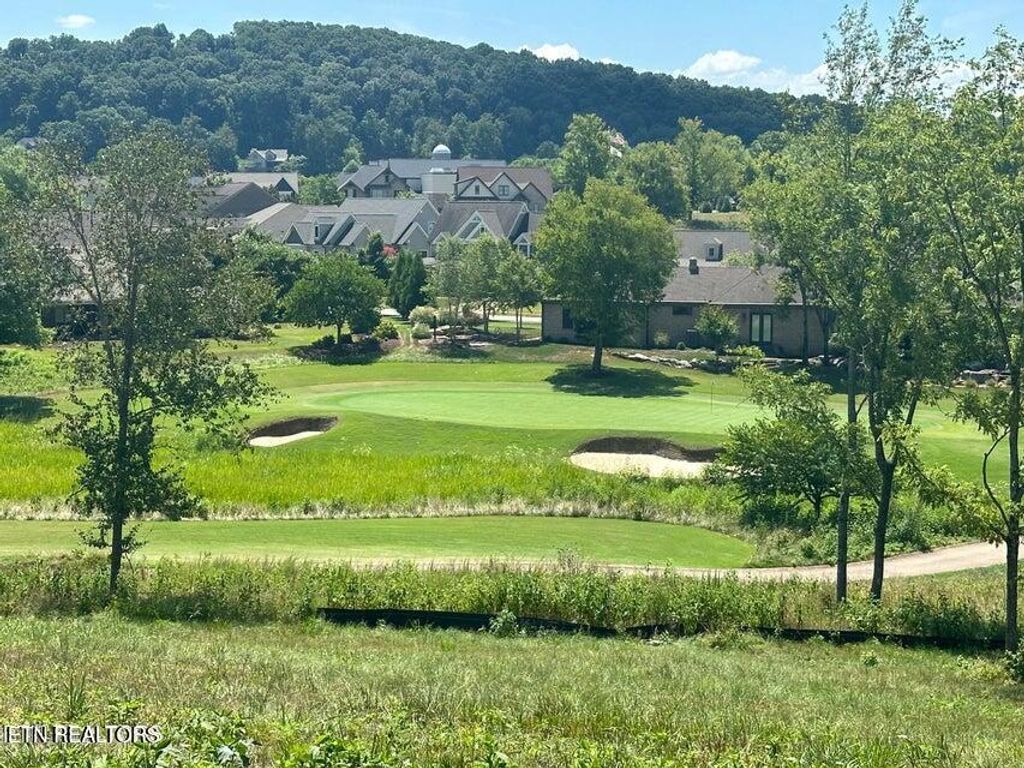 Photo of 987 Mockingbird Lane, Loudon, TN 37774 (MLS # 1314708)
