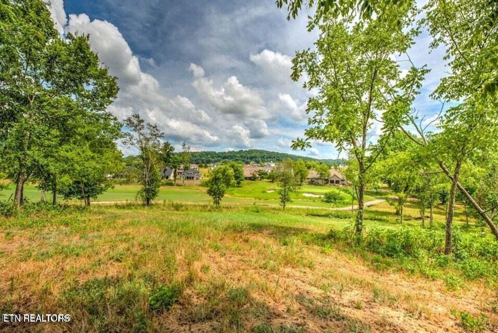 Photo of 987 Mockingbird Lane, Loudon, TN 37774 (MLS # 1314708)
