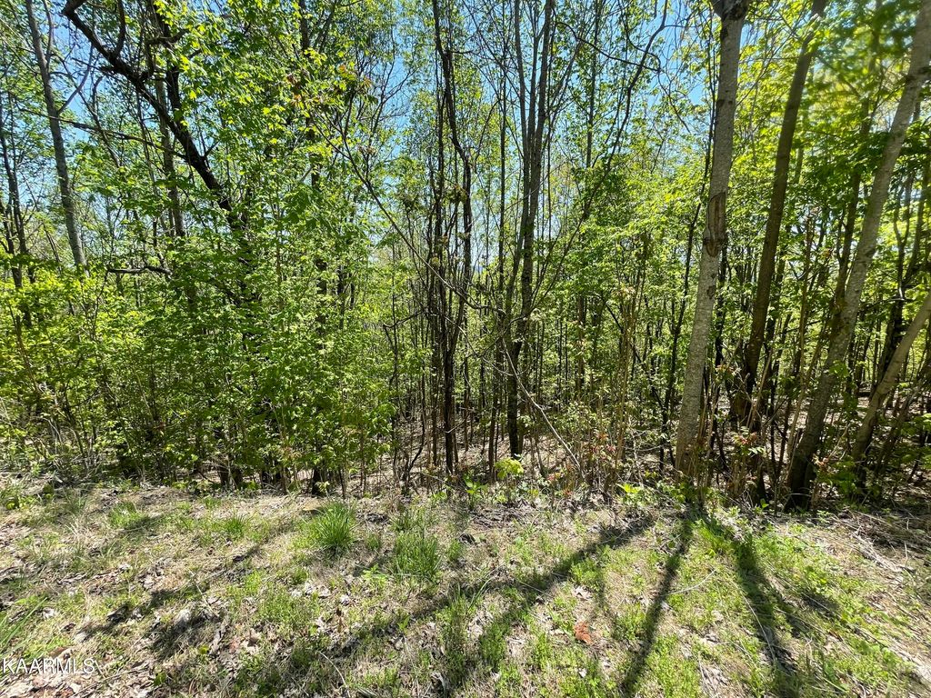 Photo of Chimney Rock Rd, New Tazewell, TN 37825 (MLS # 1224127)