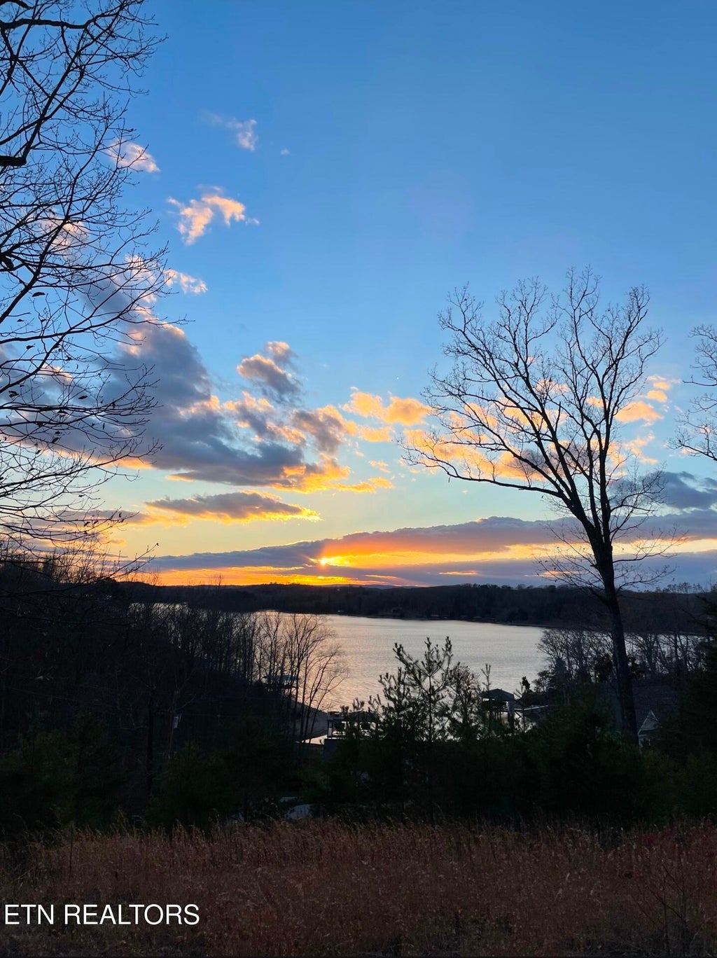 Photo of Indian Shadows Drive, Ten Mile, TN 37880 (MLS # 1356730)