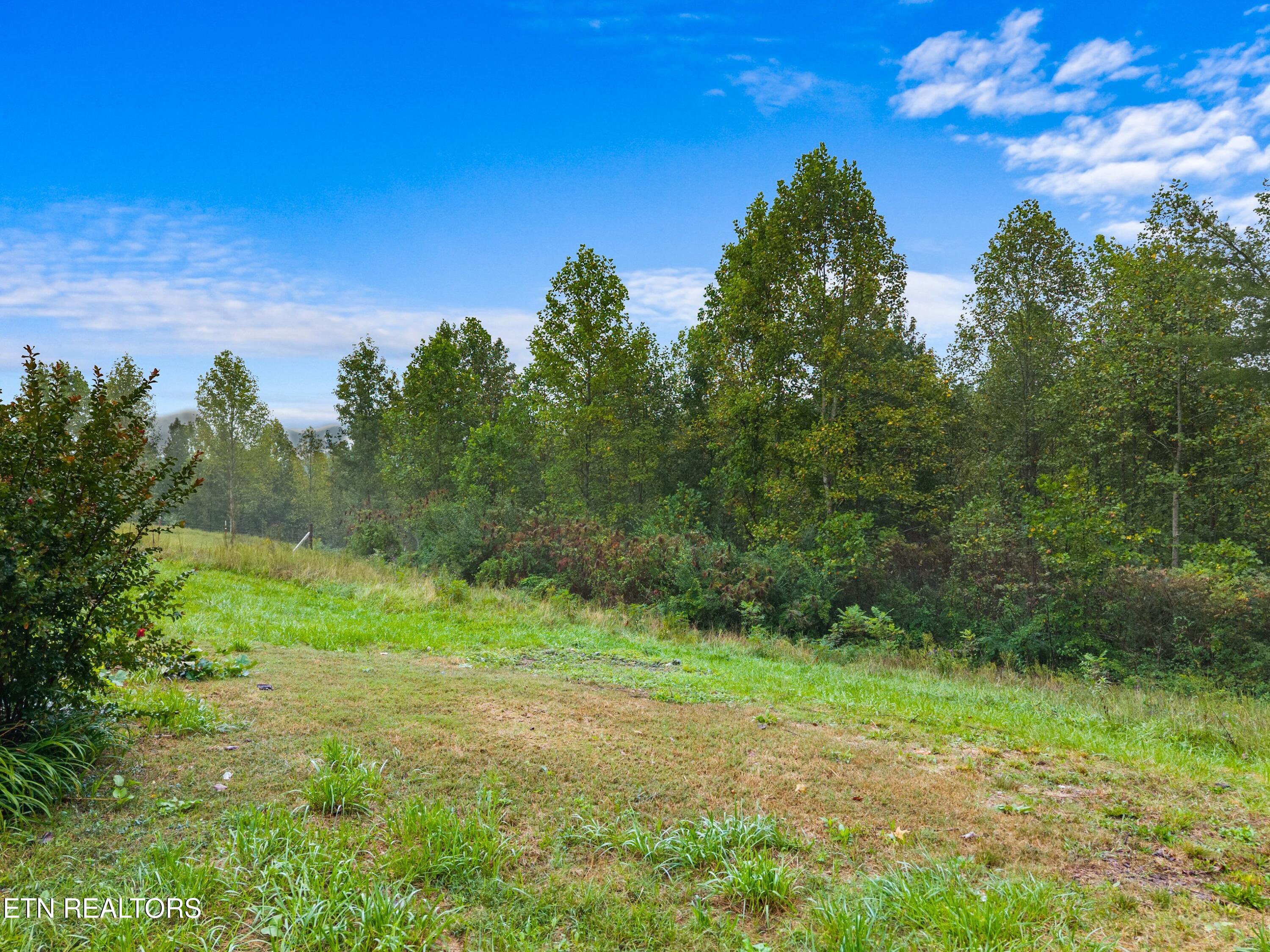 118 Delia Young Lane