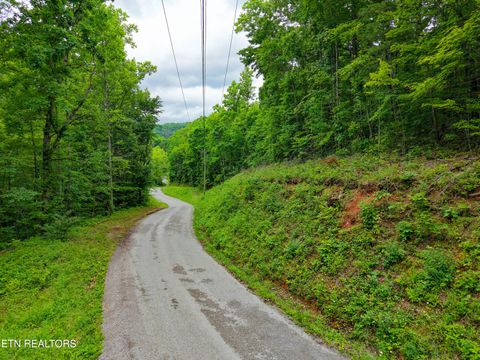 Tiny photo for E Dogwood Tr, LaFollette, TN 37766 (MLS # 1340355)