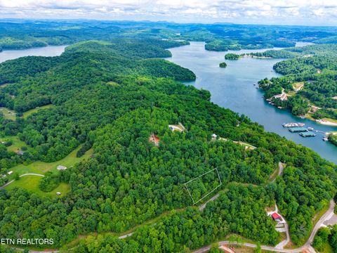 Tiny photo for E Dogwood Tr, LaFollette, TN 37766 (MLS # 1340355)