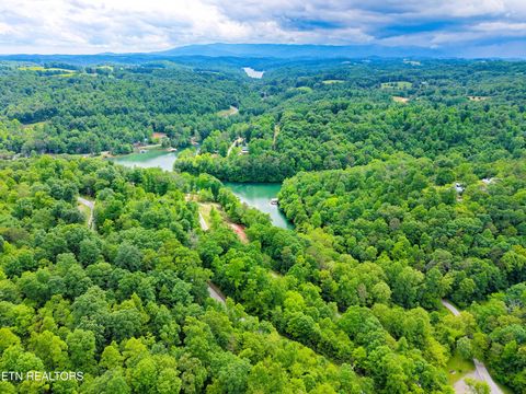 Tiny photo for E Dogwood Tr, LaFollette, TN 37766 (MLS # 1340355)
