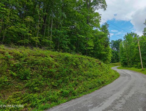 Tiny photo for E Dogwood Tr, LaFollette, TN 37766 (MLS # 1340355)