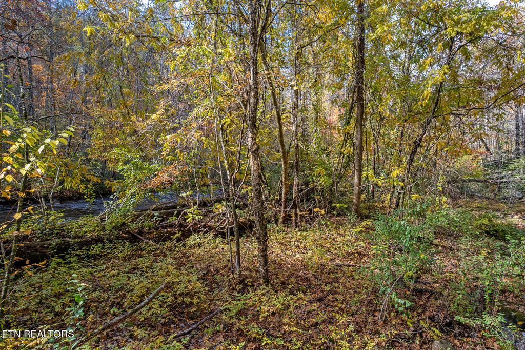 Photo of 00 River Road, Tellico Plains, TN 37385 (MLS # 1321488)