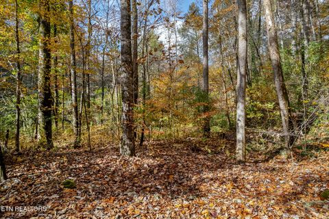 Photo of 00 River Road, Tellico Plains, TN 37385 (MLS # 1321488)