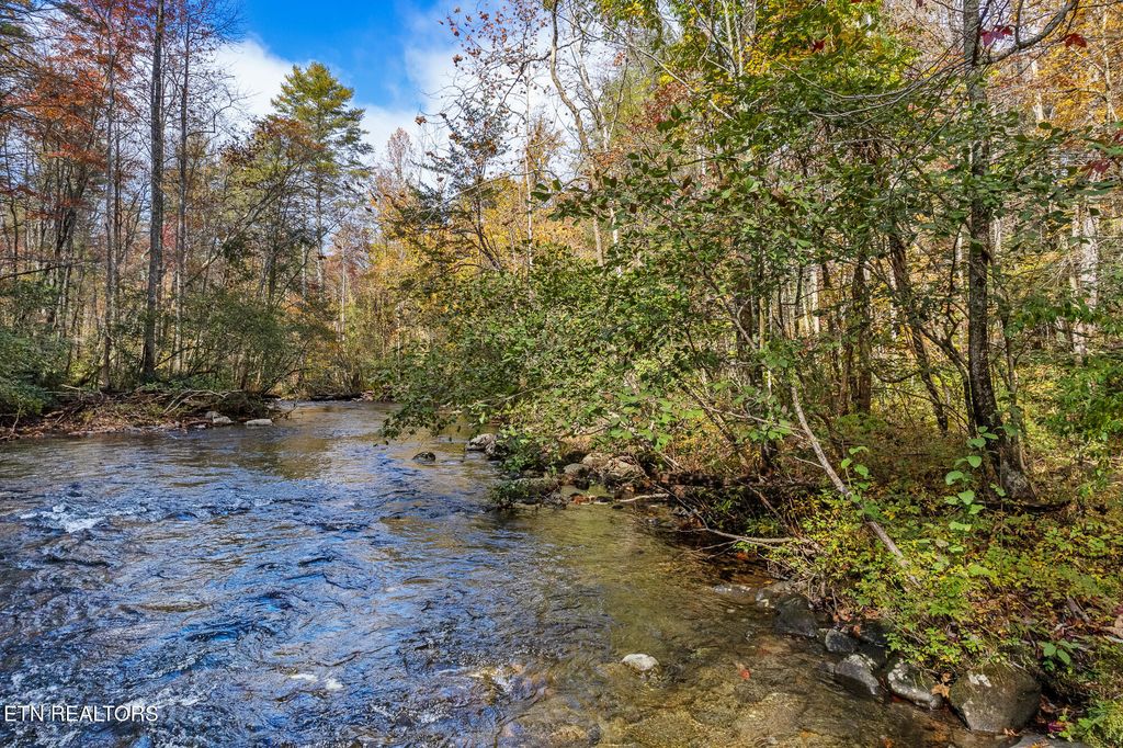 Photo of 00 River Road, Tellico Plains, TN 37385 (MLS # 1321488)