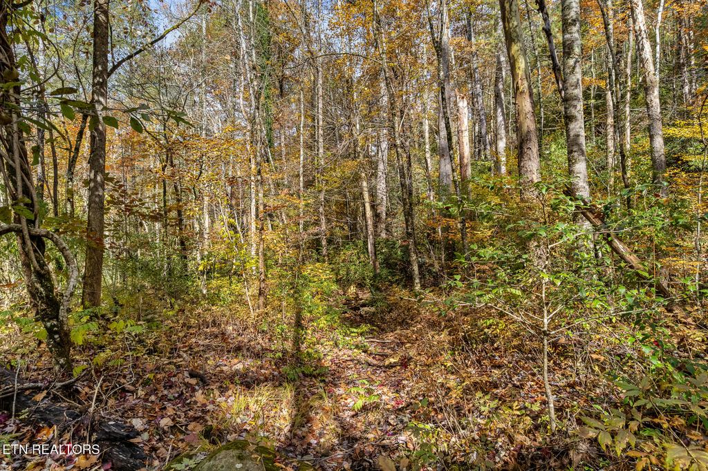 Photo of 00 River Road, Tellico Plains, TN 37385 (MLS # 1321488)