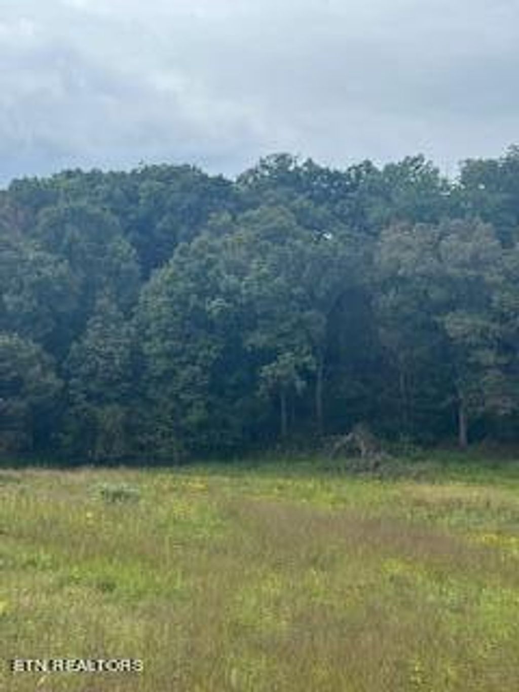 Photo of 2 Shady Road, Strawberry Plains, TN 37871 (MLS # 1278535)