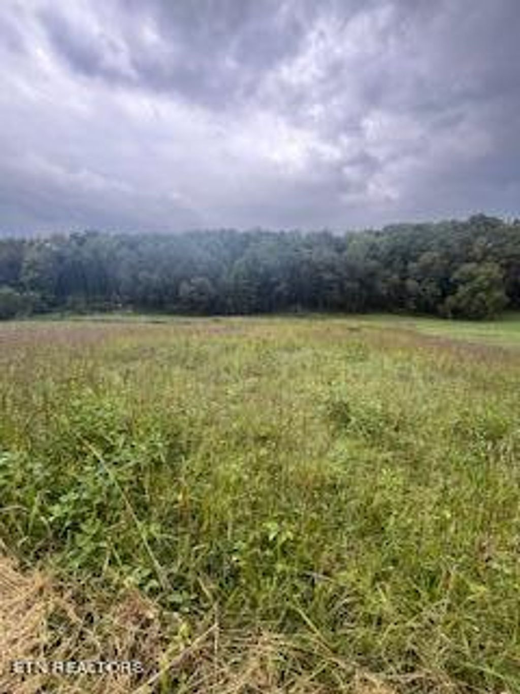 Photo of 2 Shady Road, Strawberry Plains, TN 37871 (MLS # 1278535)