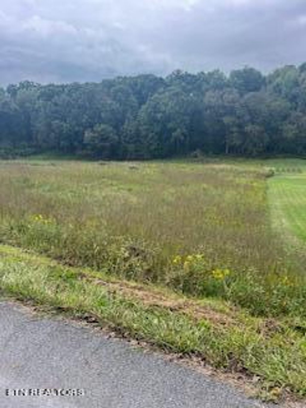 Photo of 2 Shady Road, Strawberry Plains, TN 37871 (MLS # 1278535)
