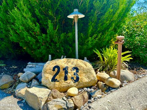 Tiny photo for 213214 HIghway 73, Townsend, TN 37882 (MLS # 1334482)