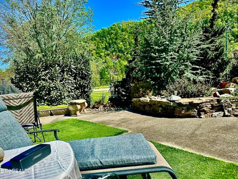 Tiny photo for 213214 HIghway 73, Townsend, TN 37882 (MLS # 1334482)