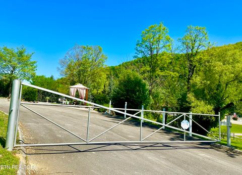 Tiny photo for 213214 HIghway 73, Townsend, TN 37882 (MLS # 1334482)