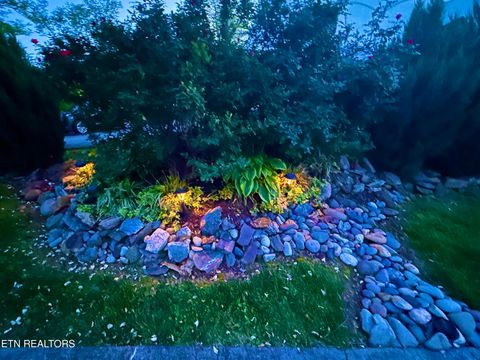 Tiny photo for 213214 HIghway 73, Townsend, TN 37882 (MLS # 1334482)