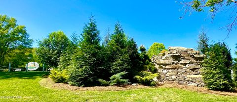 Tiny photo for 213214 HIghway 73, Townsend, TN 37882 (MLS # 1334482)