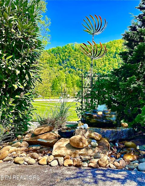 Tiny photo for 213214 HIghway 73, Townsend, TN 37882 (MLS # 1334482)